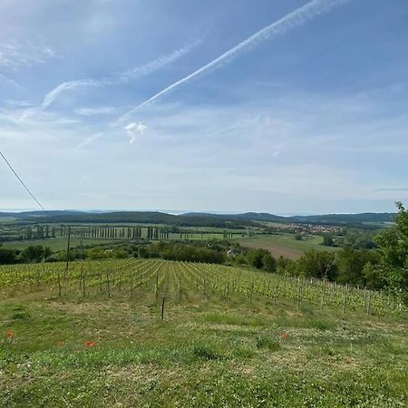 Appartamento Présház a hegytetőn Pécsely Esterno foto