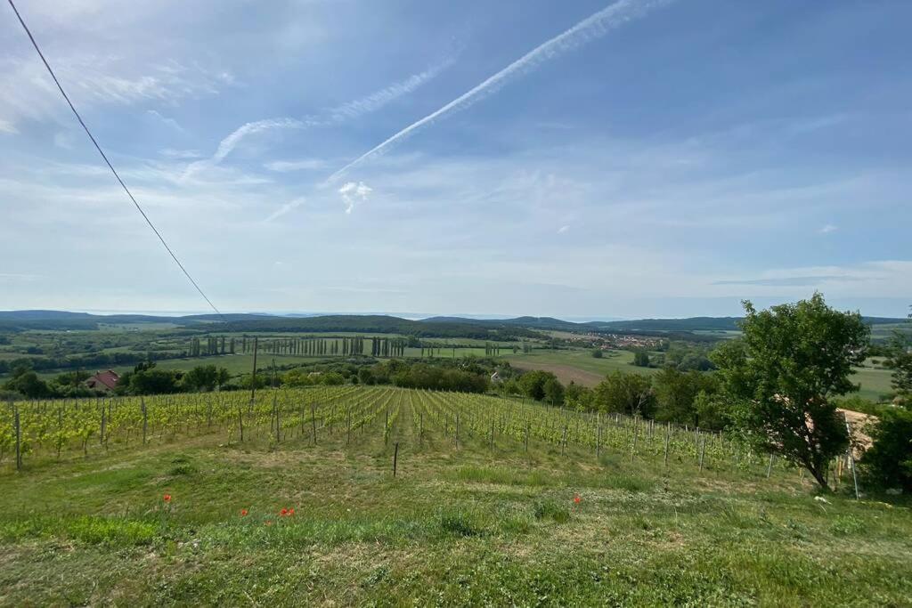 Appartamento Présház a hegytetőn Pécsely Esterno foto